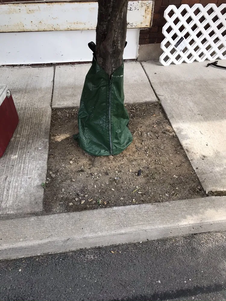 Slide of Grs contracting