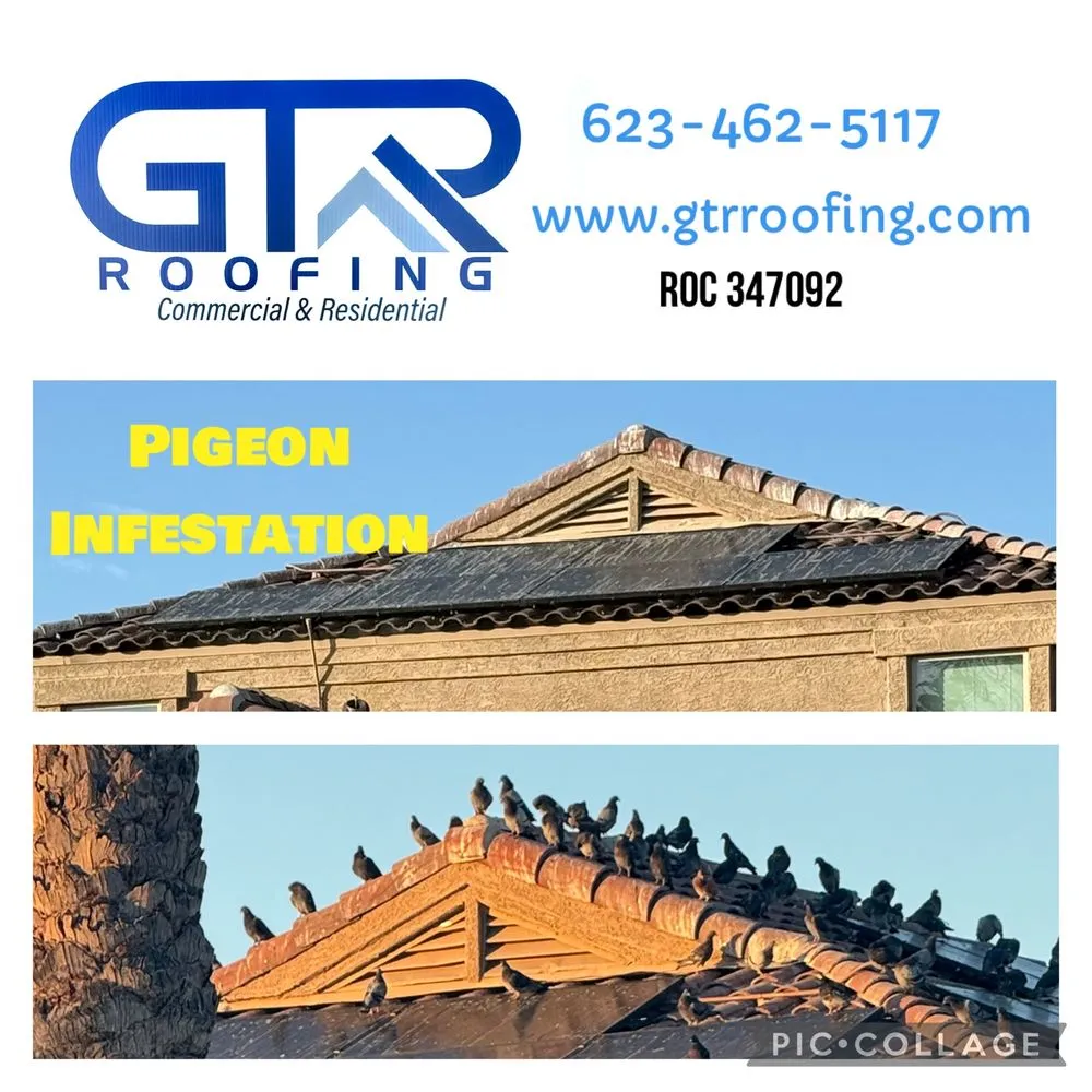 Slide of GTR Roofing