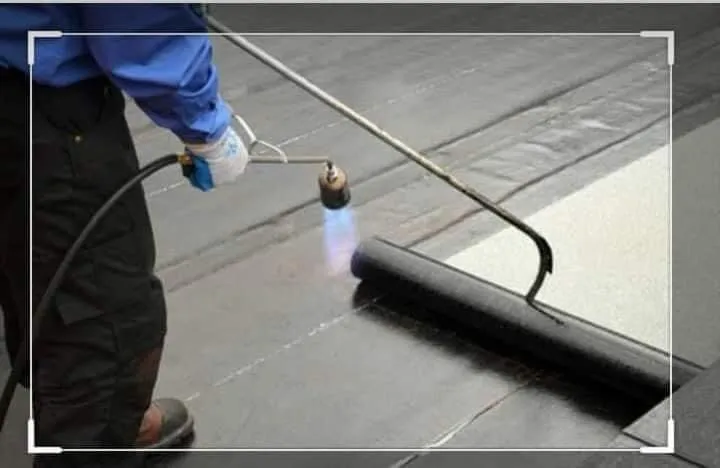 Slide of Guamex Consulting