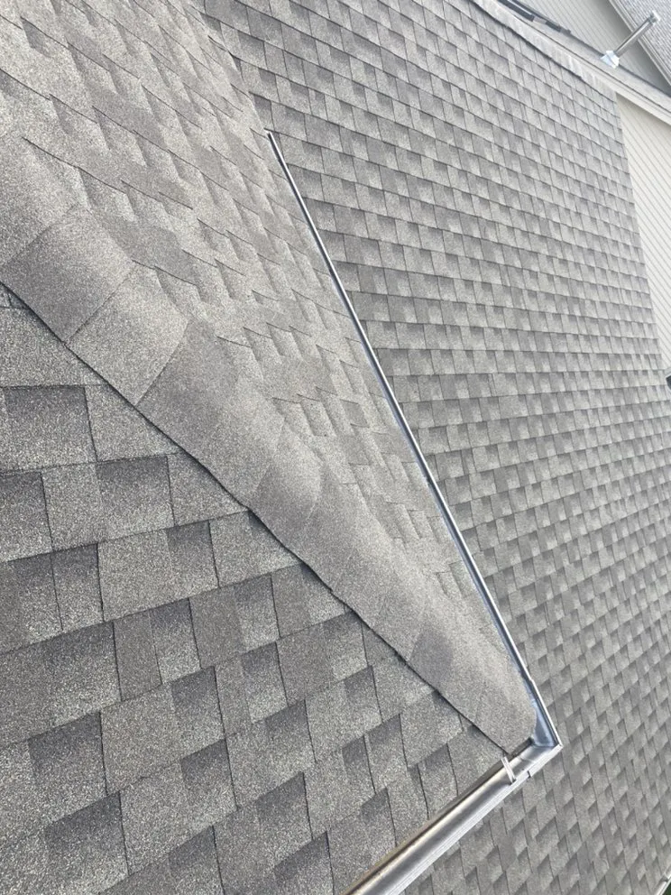 Slide of Guamex Consulting