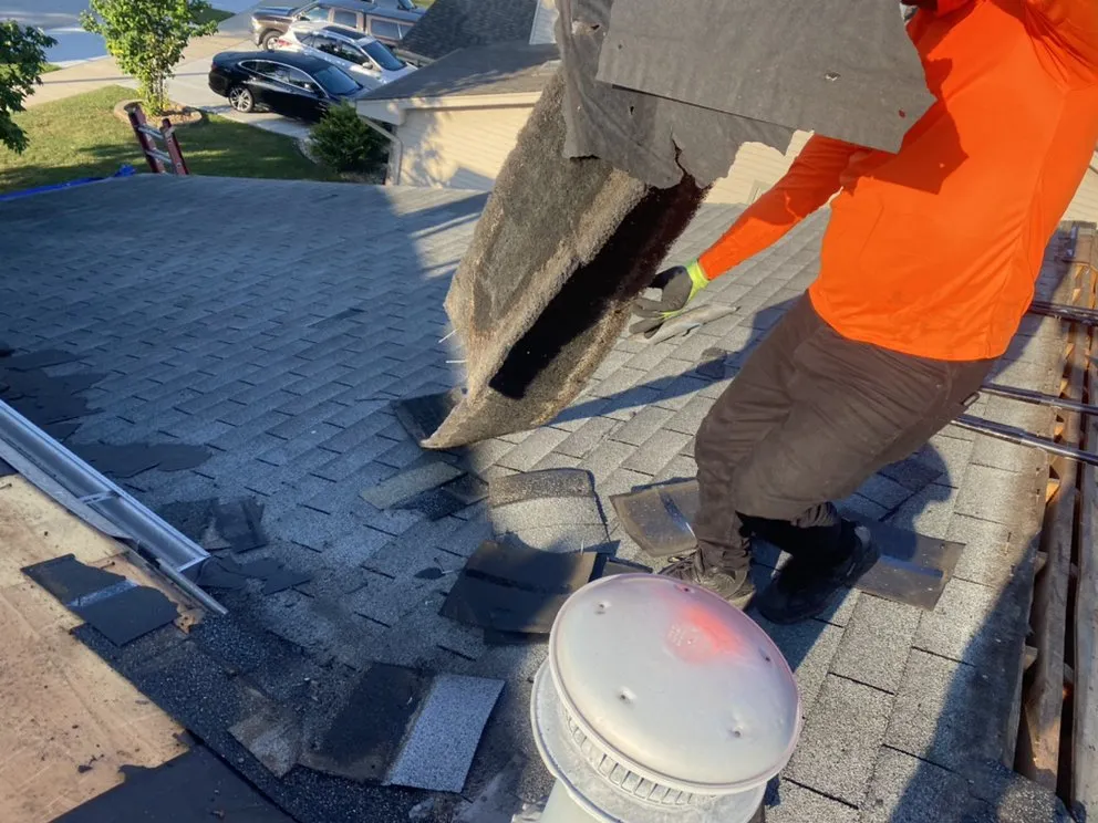 Slide of Guamex Consulting