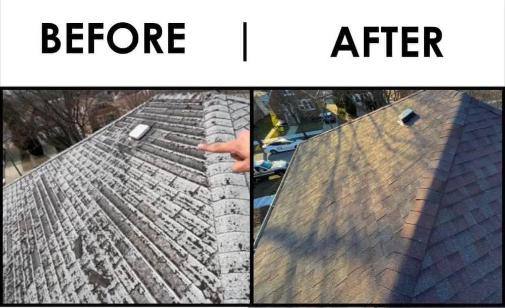 Slide of Guamex Consulting