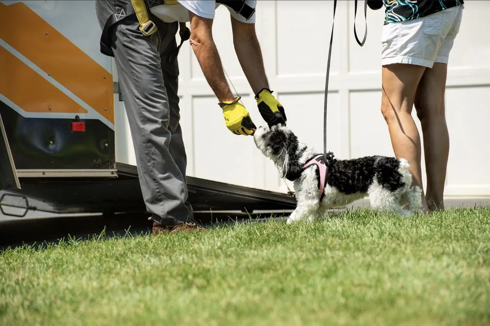 Slide of Guaranteed Roof