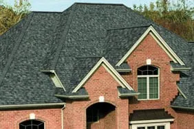 Slide of Guardian Chimney Sweep