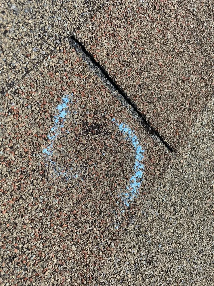 Slide of Guardian Exteriors