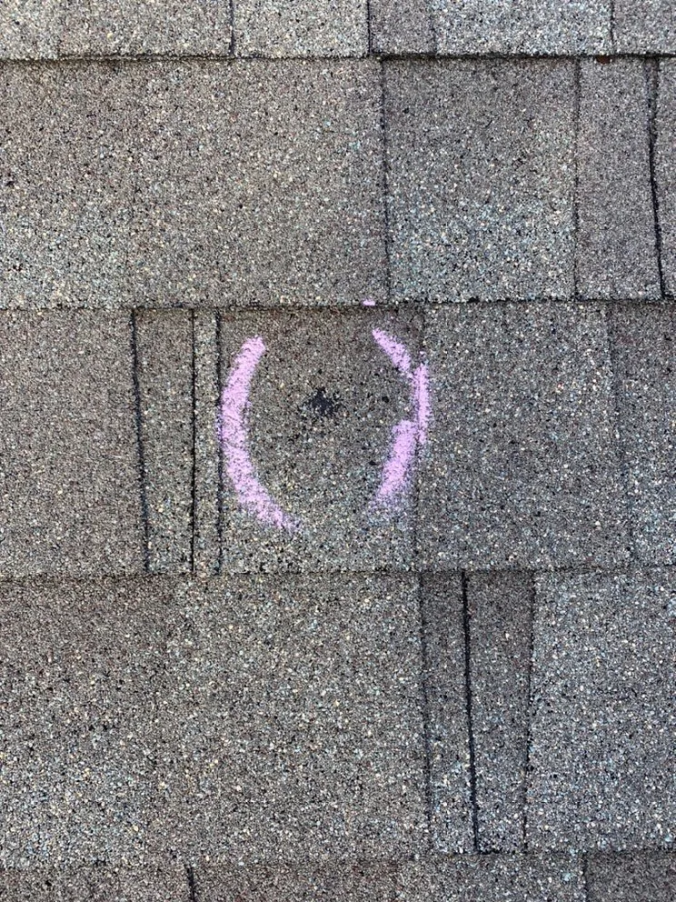 Slide of Guardian Exteriors