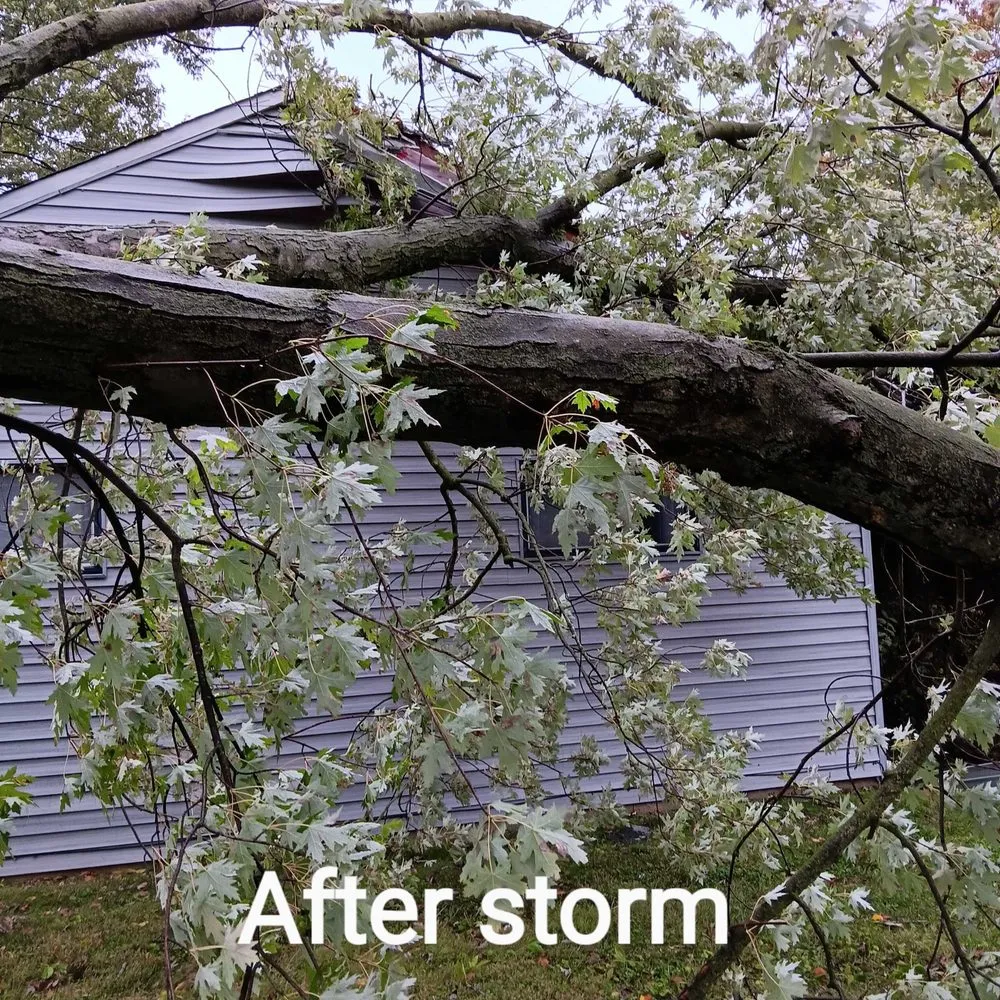 Slide of Guardian Exteriors