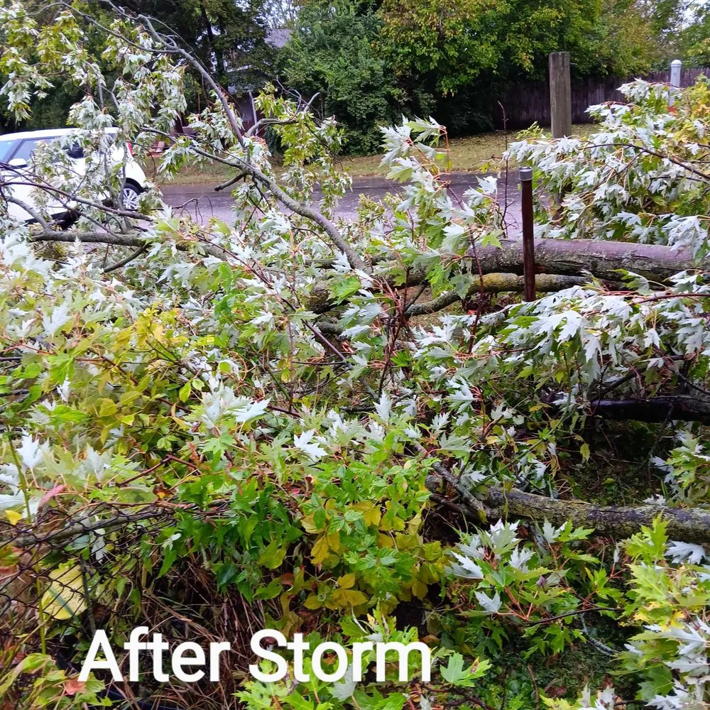 Slide of Guardian Exteriors