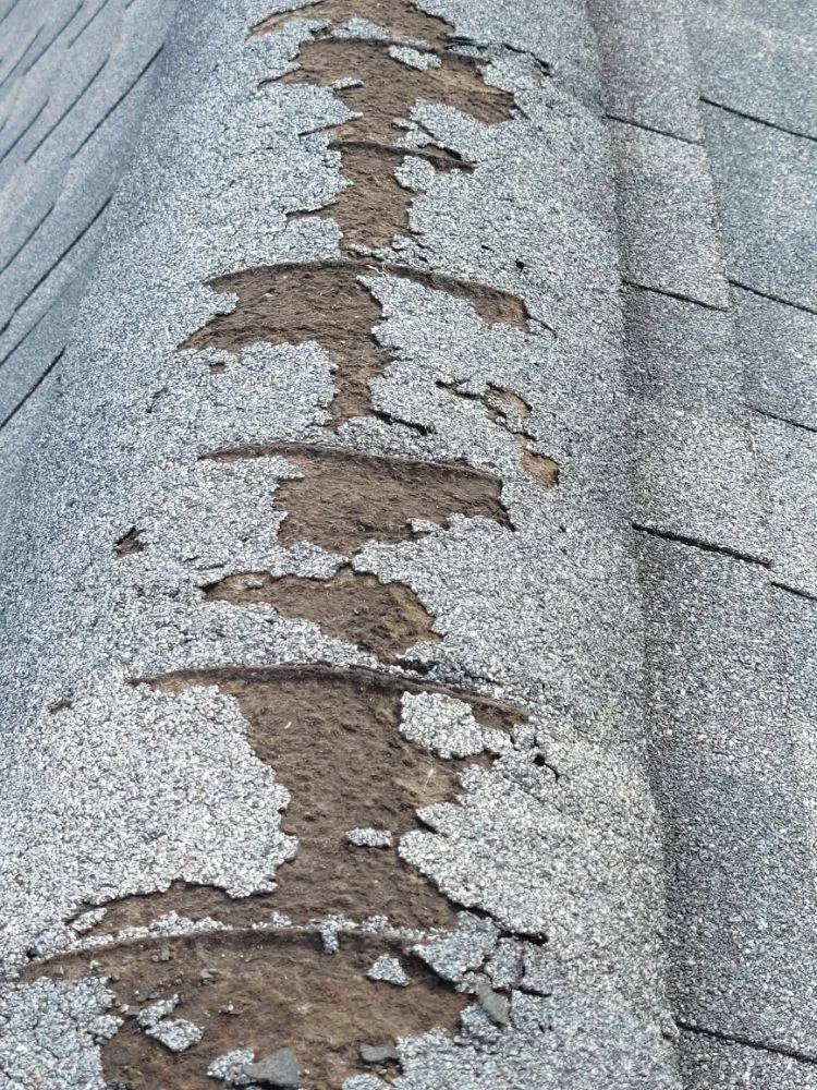 Slide of Guardian Roofing