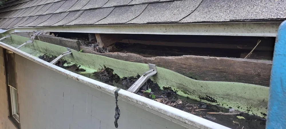 Slide of Guardian Shutters & Gutter Guards