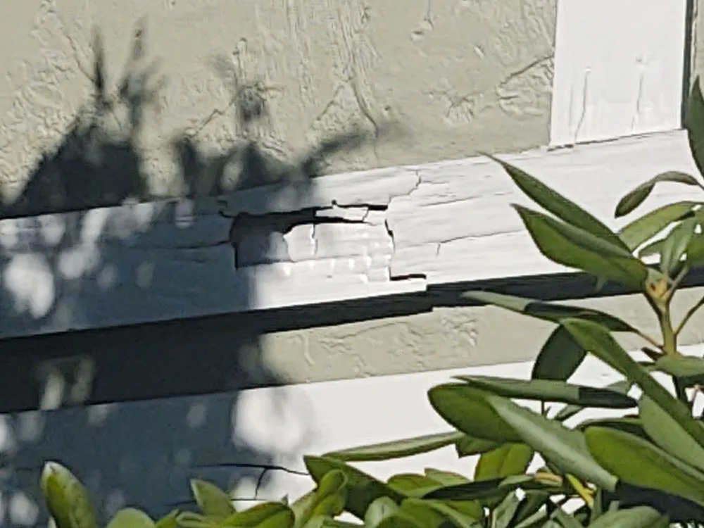 Slide of Guasco's Construction