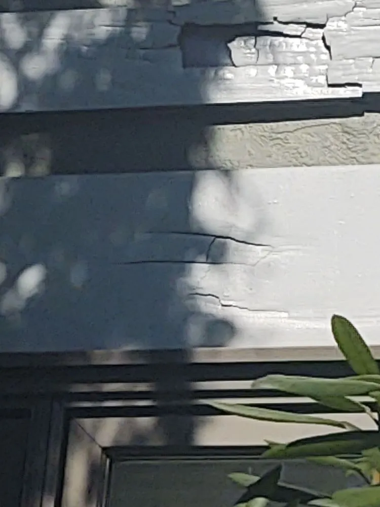 Slide of Guasco's Construction