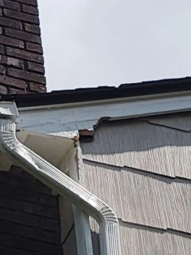 Slide of Guasco's Construction