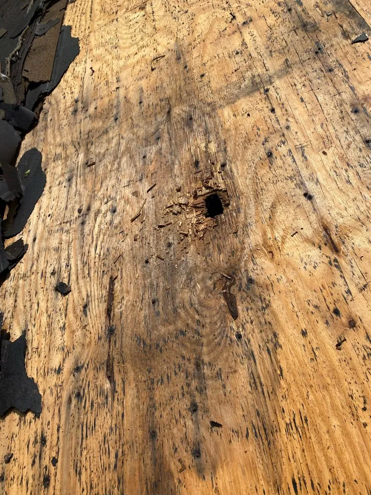 Slide of Guasco's Roofing