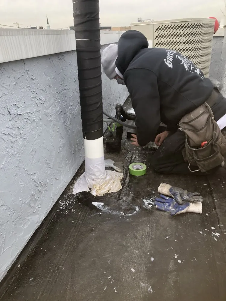 Slide of Gucci Roofing