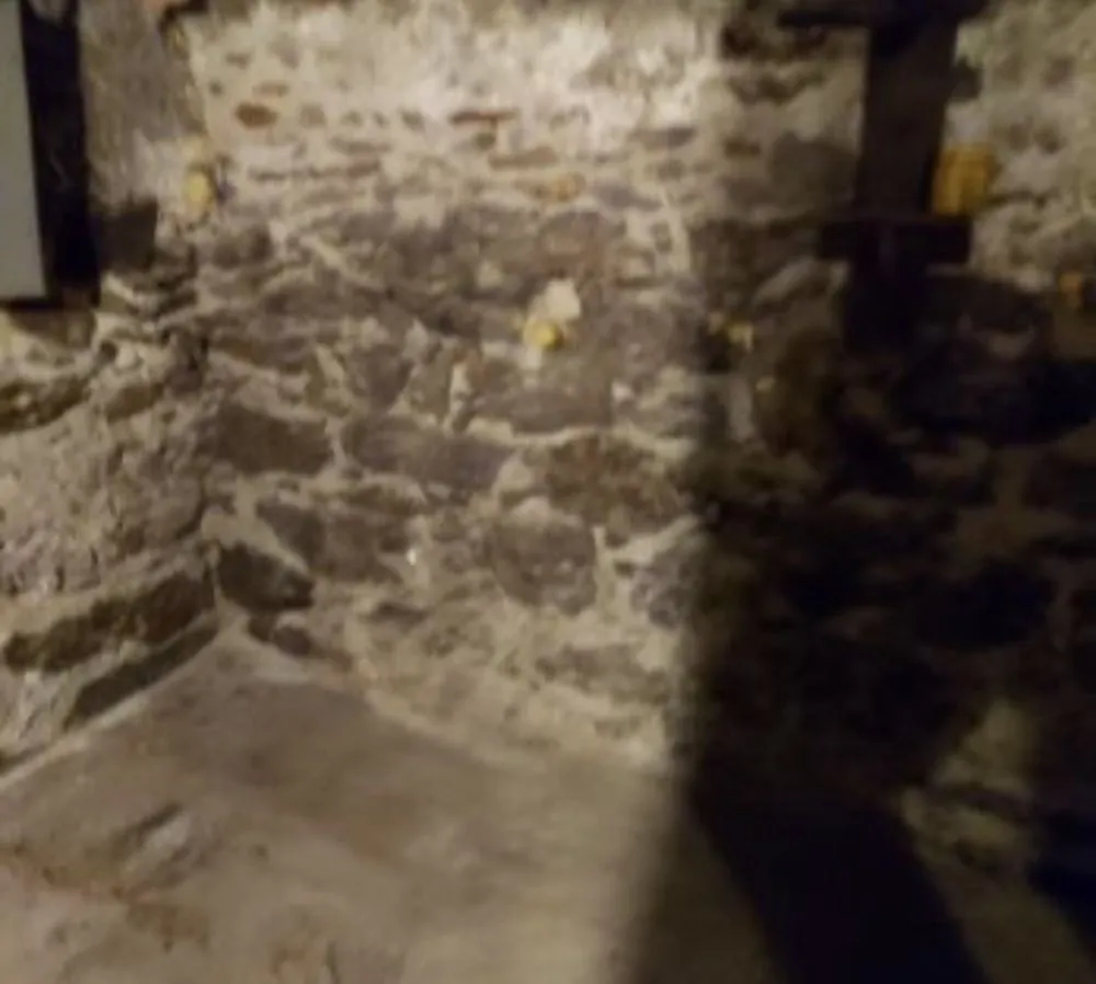 Slide of Guerrero Junk Removal