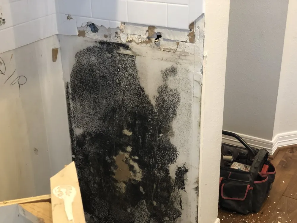 Slide of Gulf Coast Renovations