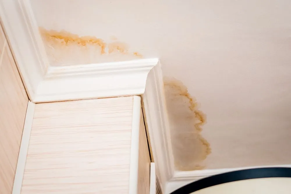 Slide of Gulf Coast Roofing