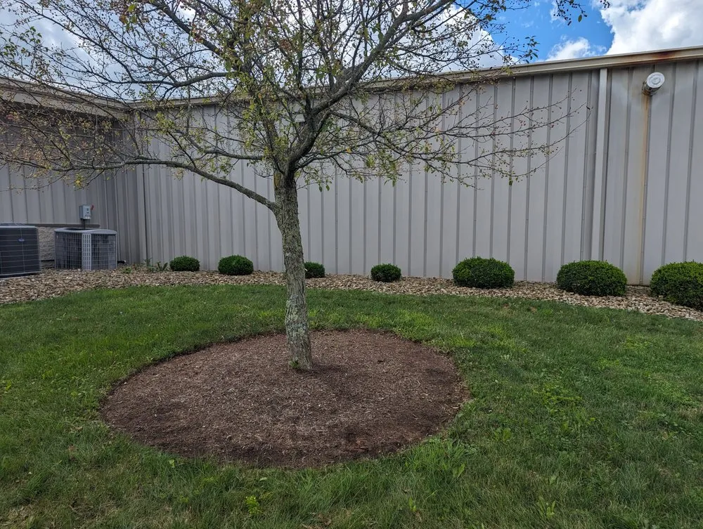 Slide of Gulley Construction