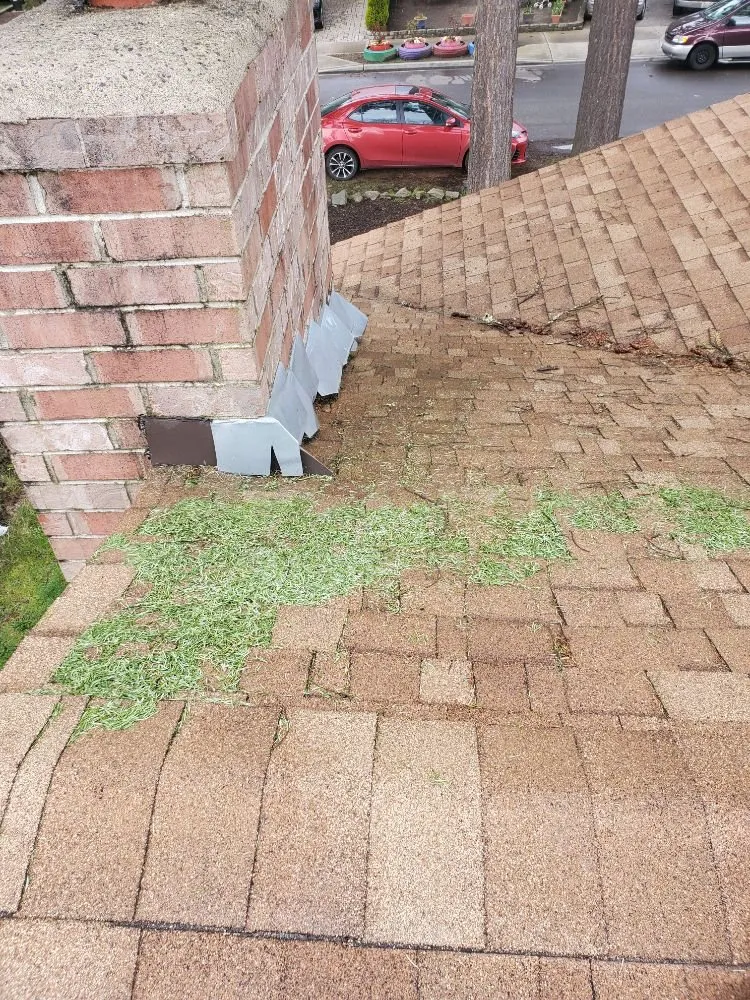 Slide of Gunky Gutters Be Gone