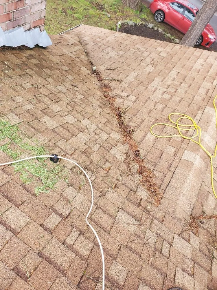 Slide of Gunky Gutters Be Gone