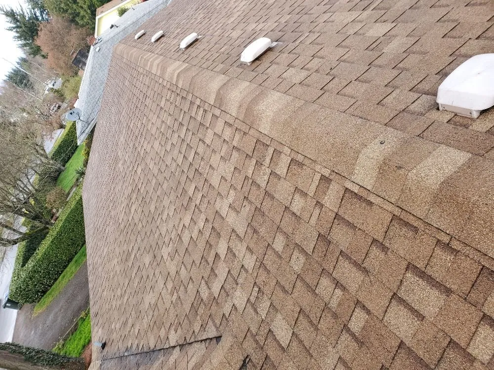 Slide of Gunky Gutters Be Gone