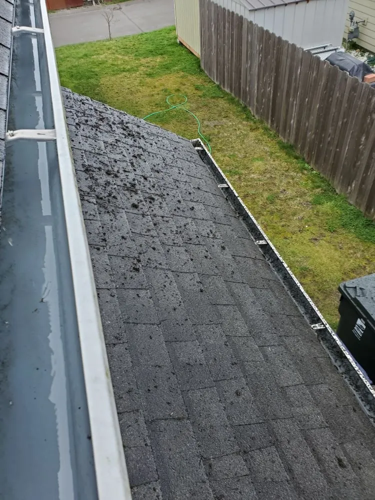 Slide of Gunky Gutters Be Gone