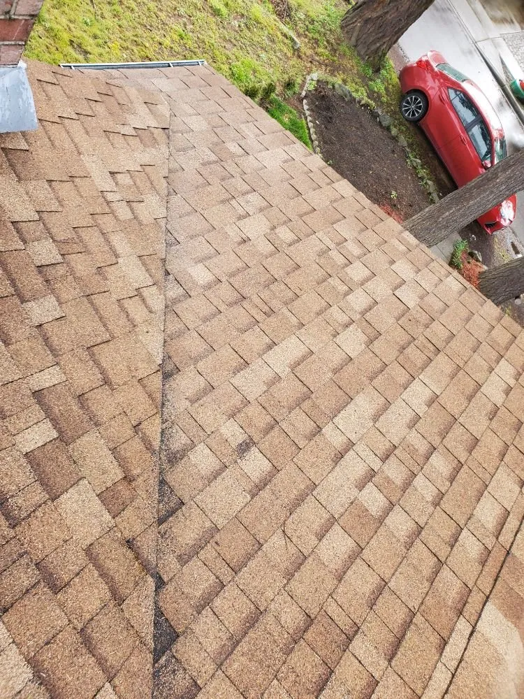 Slide of Gunky Gutters Be Gone