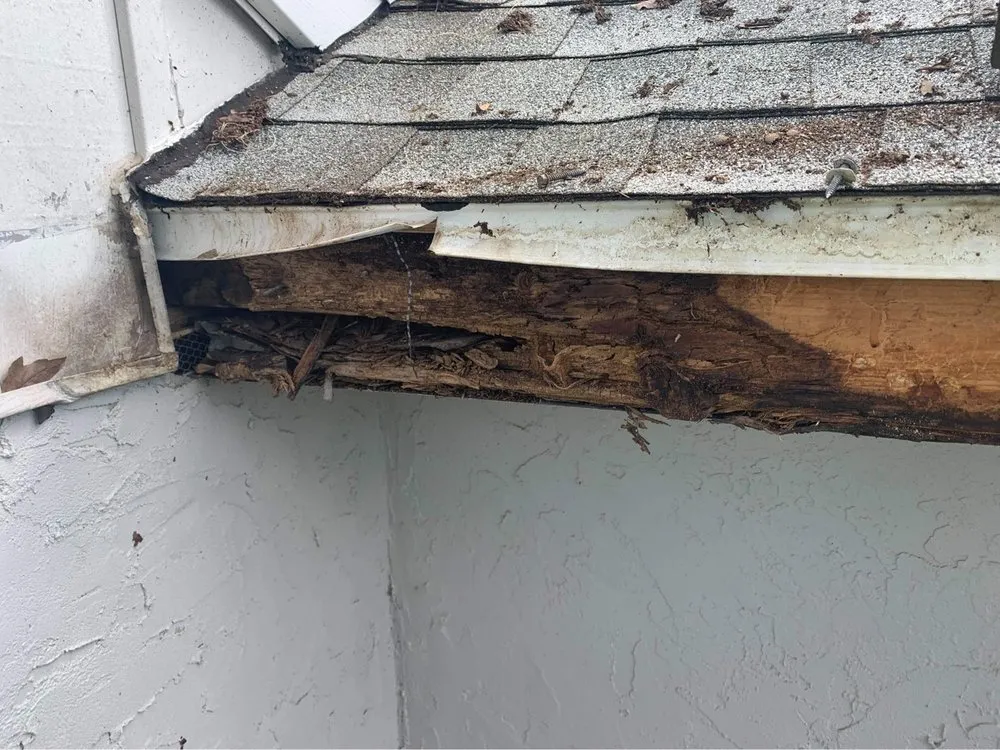 Slide of Gunslinger's Roofing