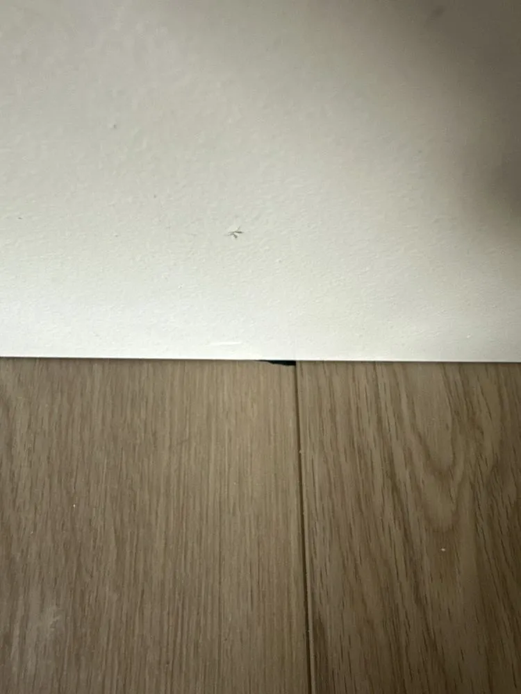 Slide of Gurr Brothers Construction