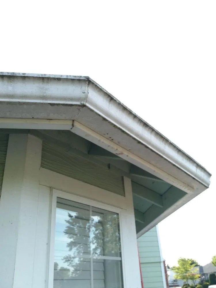 Local roof replacement experts serving Brooks, OR - Gustavo's Pressure Washing