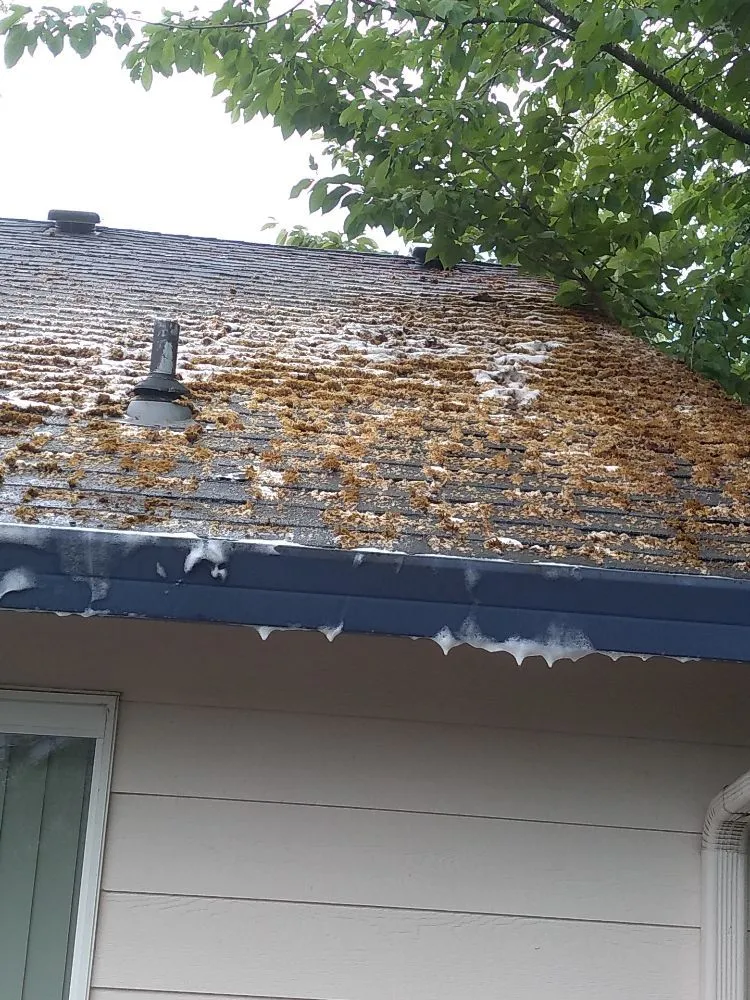 Professional roof leak repair experts serving Brooks, OR - Gustavo's Pressure Washing