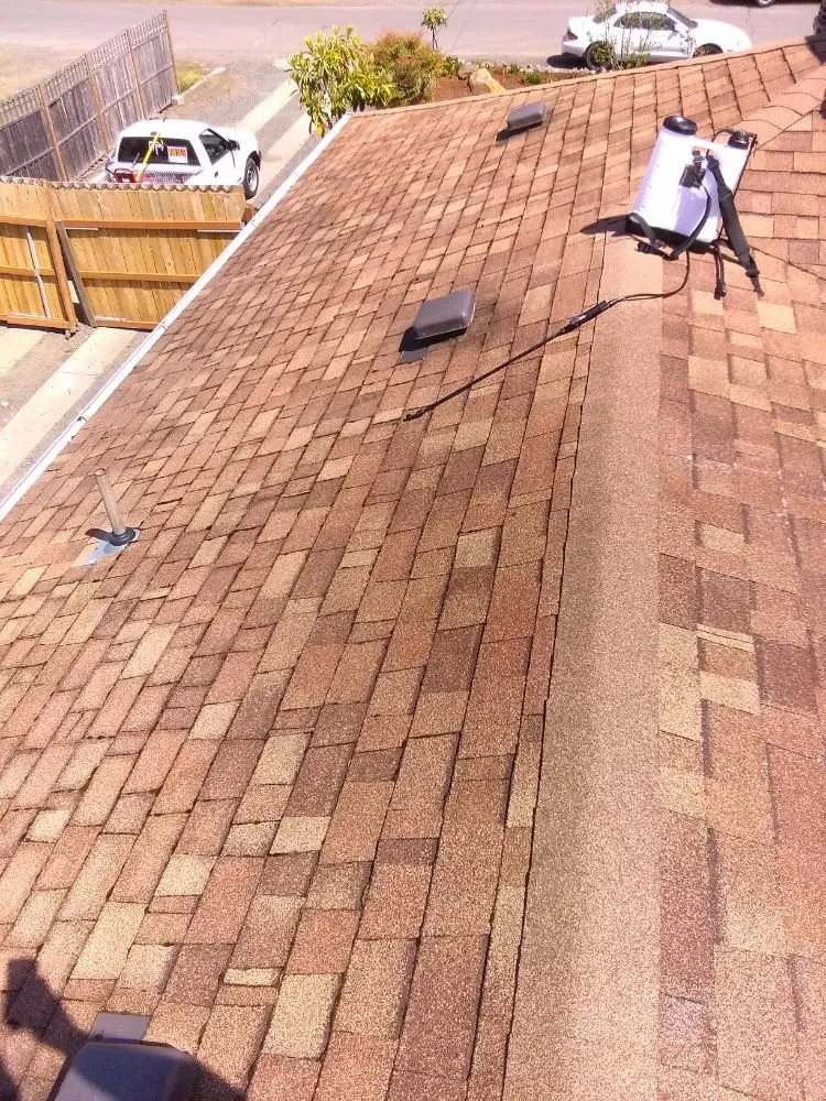 Licensed roof leak repair experts serving Brooks, OR - Gustavo's Pressure Washing
