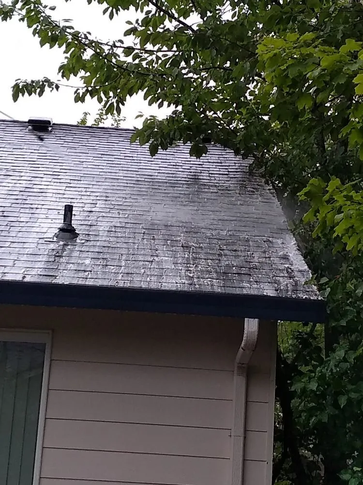Reliable residential roofing service in Brooks, OR - Gustavo's Pressure Washing