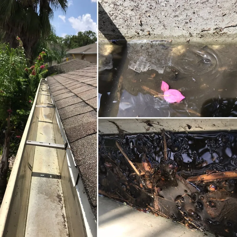 Slide of Gutter Bright