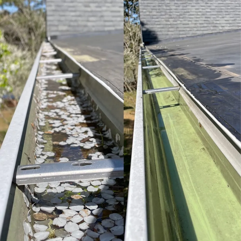 Slide of Gutter Bright