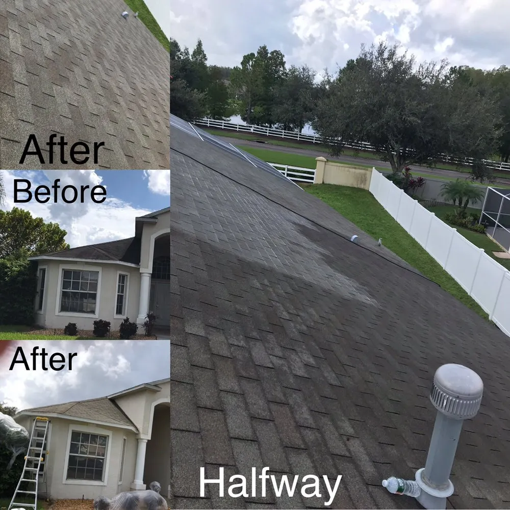 Slide of Gutter Bright