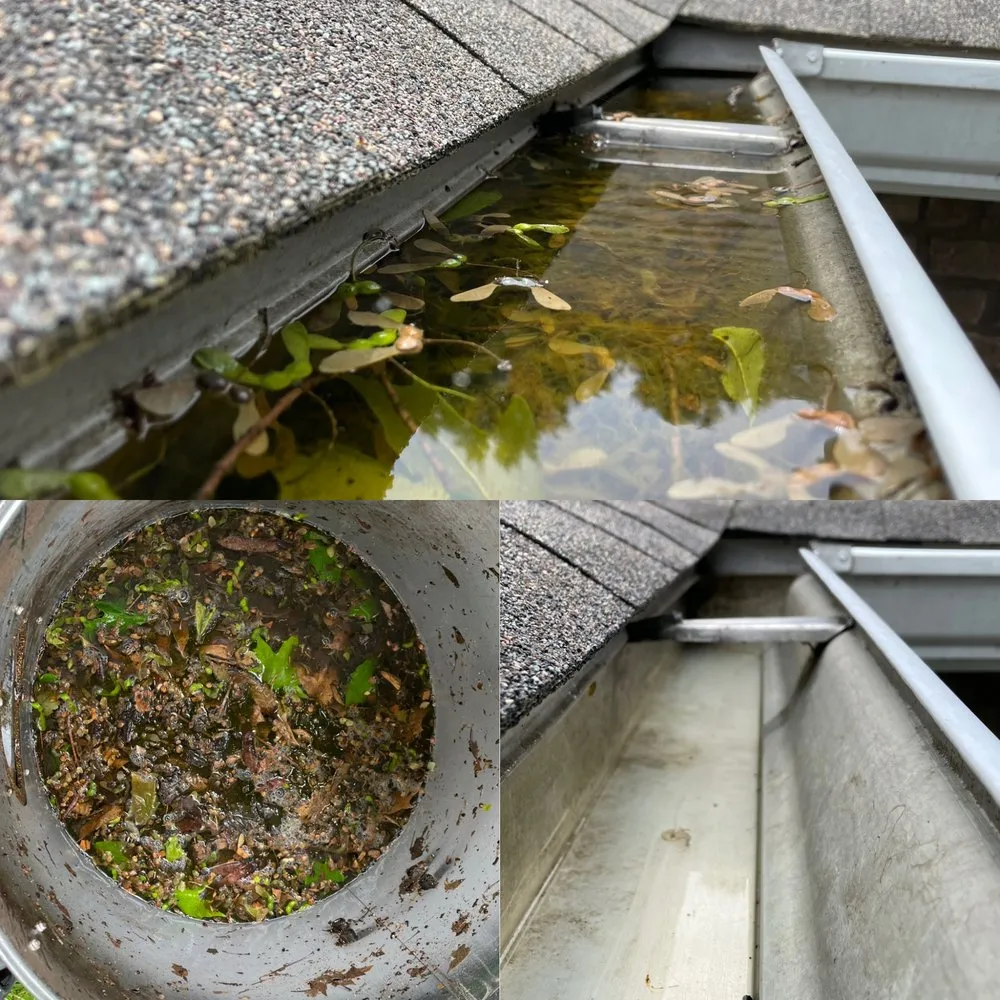 Slide of Gutter Bright