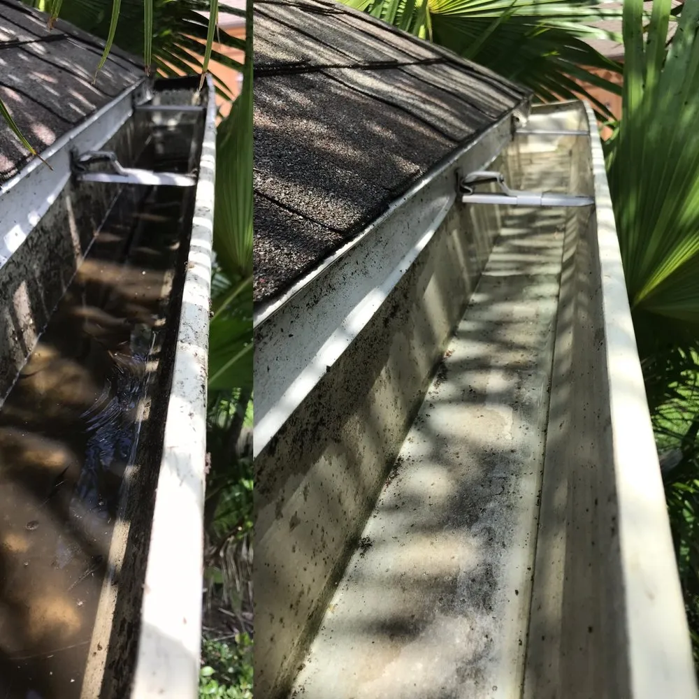 Slide of Gutter Bright