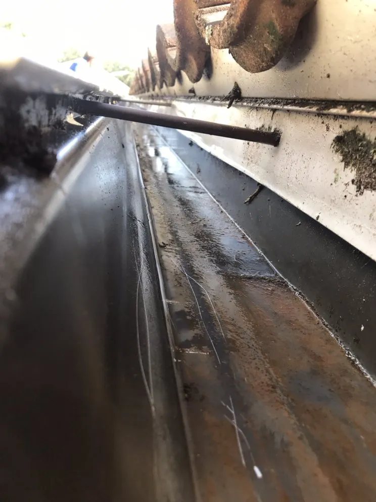 Slide of Gutter Bright