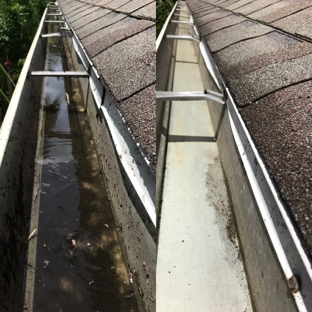 Slide of Gutter Bright