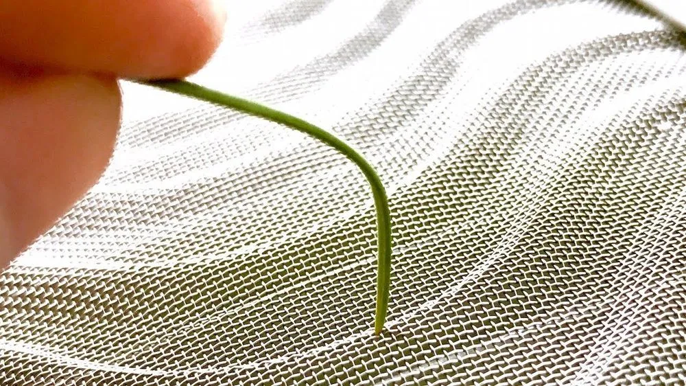 Slide of Gutter Bright