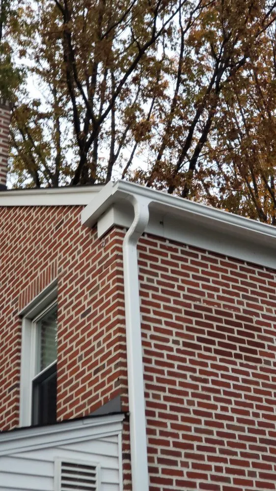 Slide of Gutter Brothers