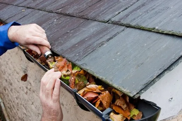 Gutter Clutter Cleaning & Roof Repair Logo