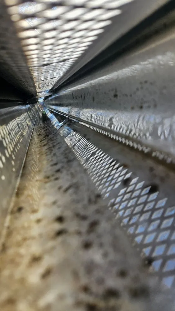 Slide of Gutter Daddy