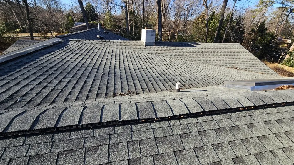 Slide of Gutter Daddy