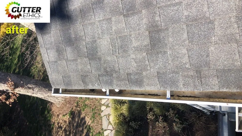 Slide of Gutter Ethics