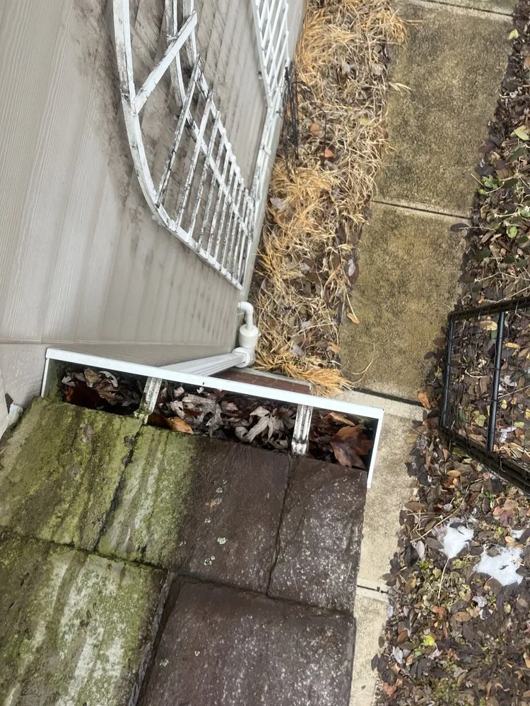 Slide of Gutter Genies