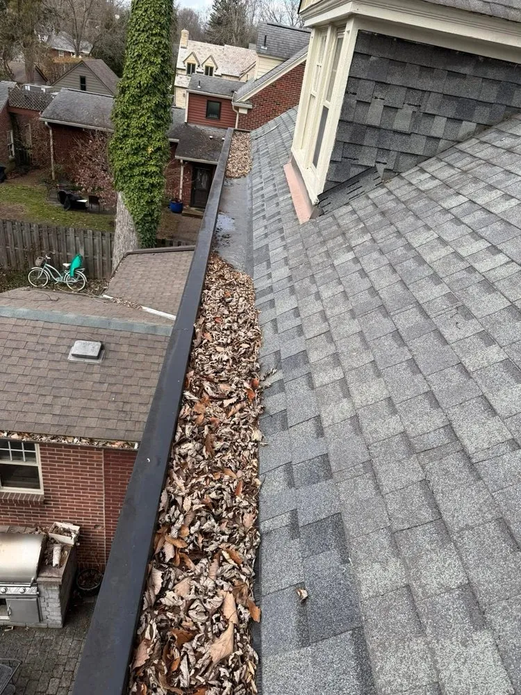 Slide of Gutter Genies