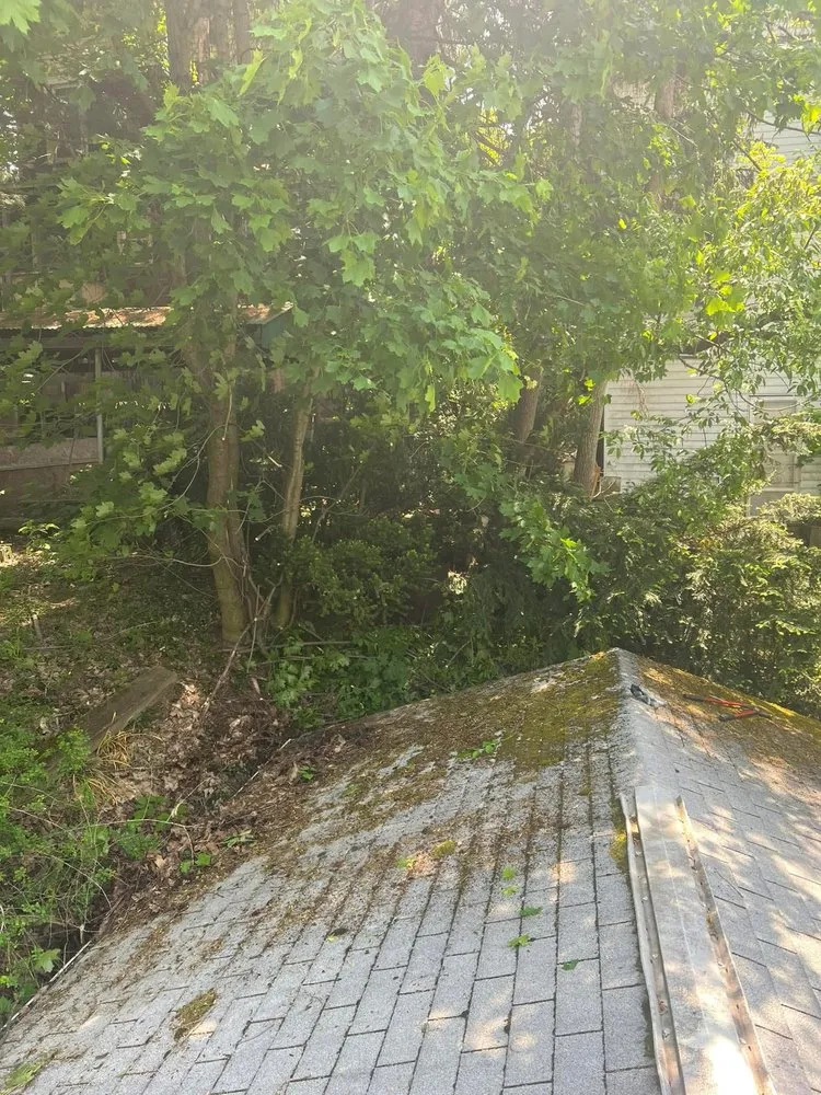 Slide of Gutter Genies